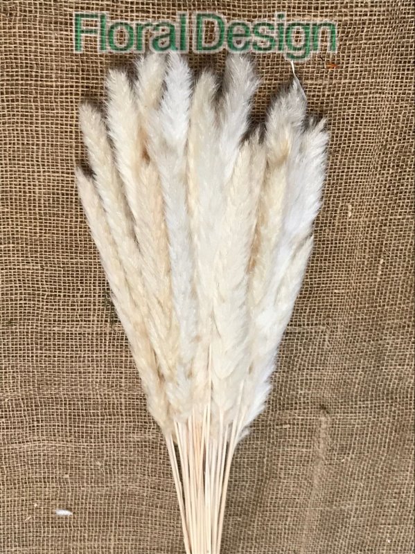 Piuma decorativa 60cm bleached 20ks