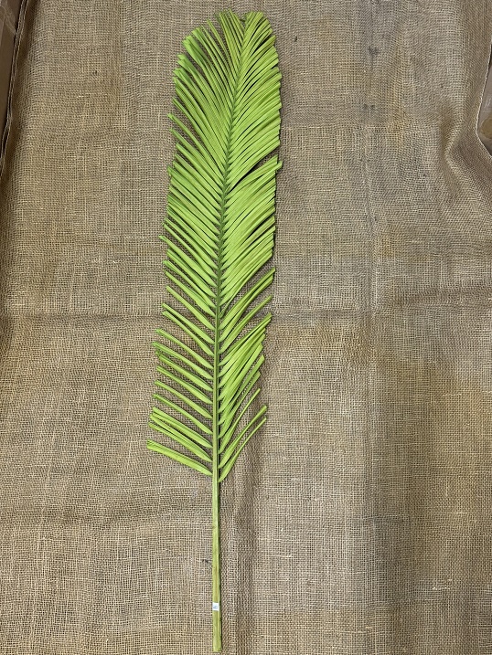 Palm listy ovál 120m zelená