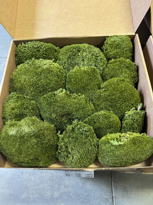 Mech "Ball" big natur zelená stabilizovaný