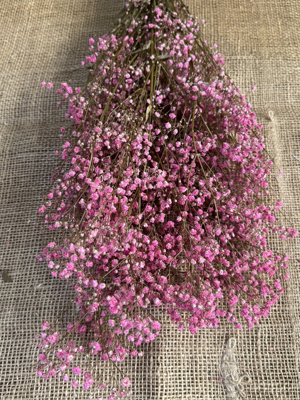 Gypsophila 100gr. růžová / natur stabilizovaná