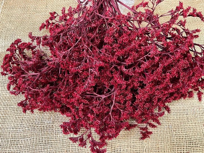 .Statice Tatarica 100gr. červená